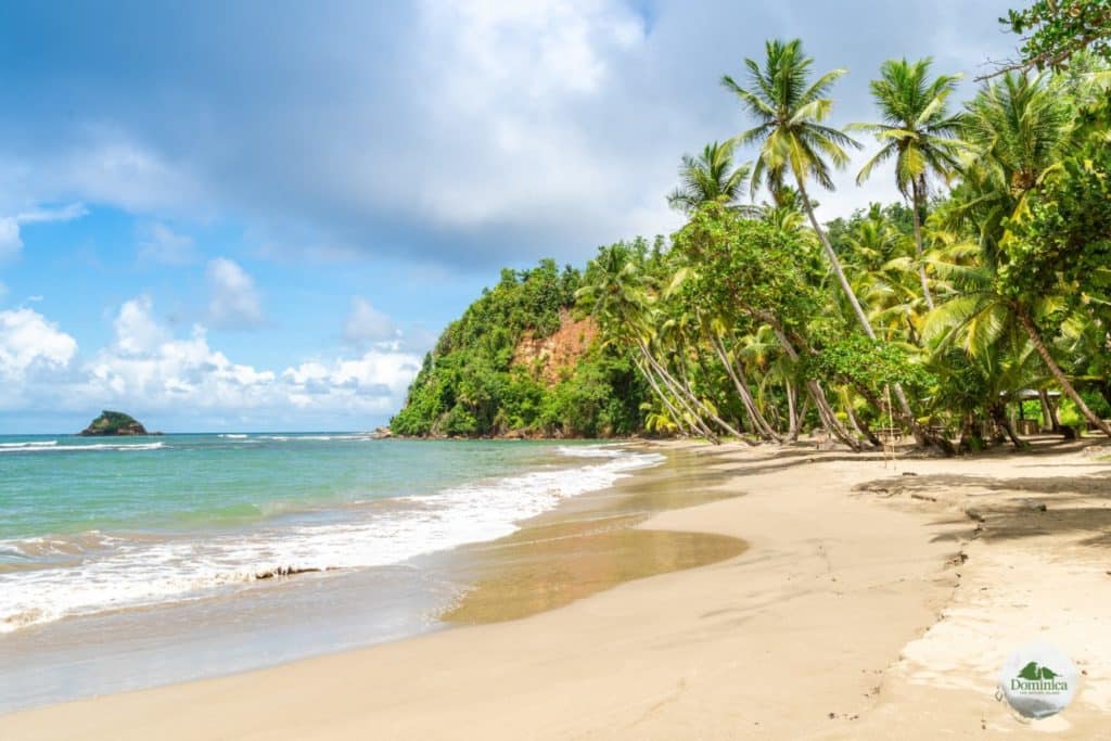 Batibou Beach, 多米尼克介紹自然景觀Dominica, the Nature Island in Caribbean 加勒比的天然之島
