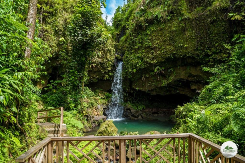 Emerald Pool 翡翠池多米尼克介紹自然景觀Dominica, the Nature Island in Caribbean 加勒比的天然之島
