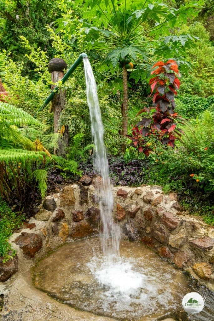 Ti Kwen Glo Cho Hot Springs 溫泉多米尼克介紹自然景觀Dominica, the Nature Island in Caribbean 加勒比的天然之島